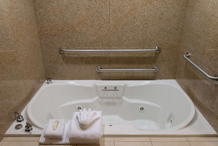 Bathroom 4, Hilton Garden Inn Laramie, Albany