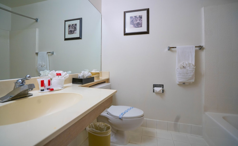 Bathroom 3, Howard Johnson by Wyndham Buena Park, Orange