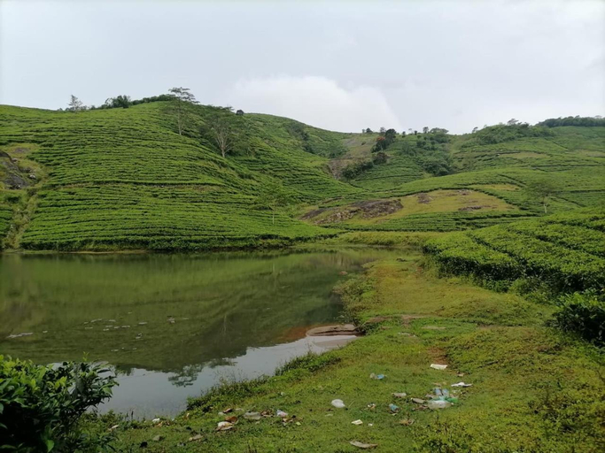 Others 4, Mist WOODS VAGAMON, Idukki