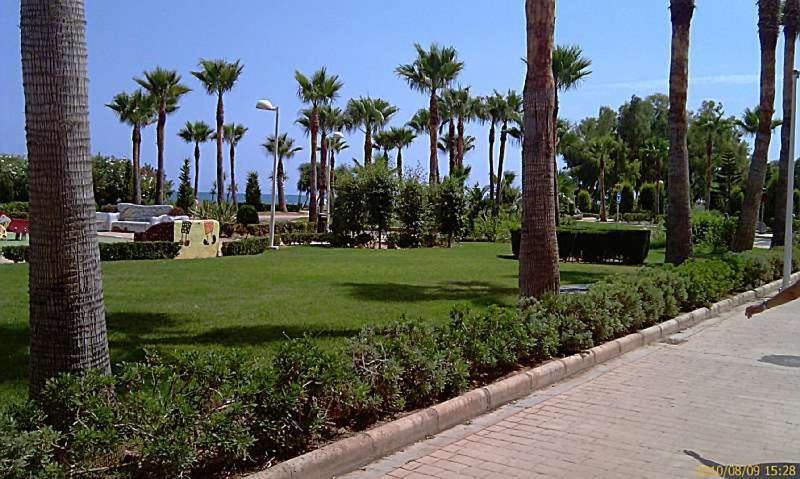 Others 4, Costa Caribe III, Castellón