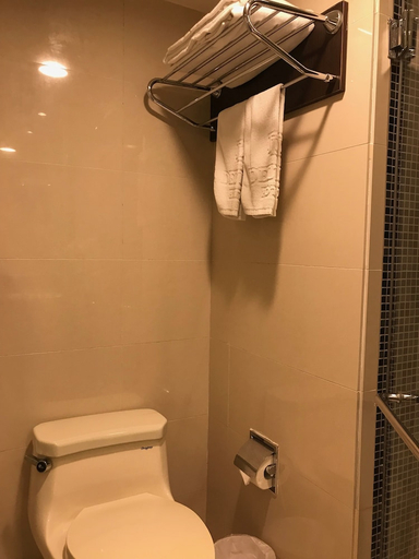 Bathroom 4, Delton Hotel, Kaohsiung