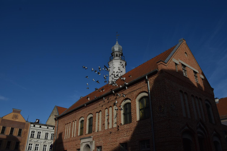 Others 4, Copernicus Prestige, Olsztyn