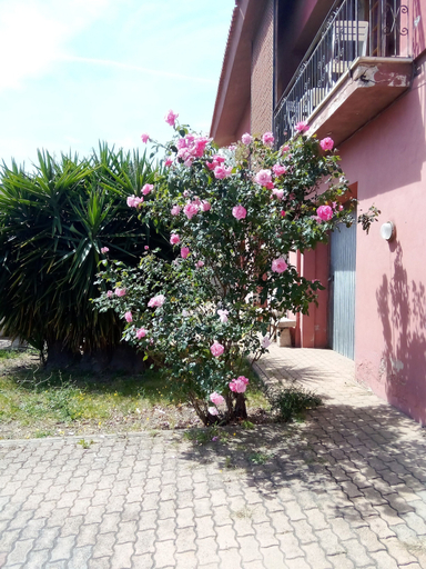 Exterior & Views 2, Smeralda room's, Olbia-Tempio