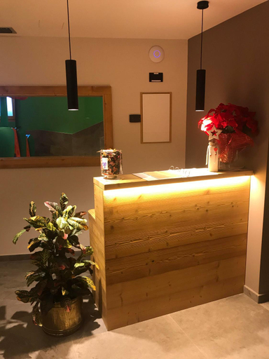 Public Area, Alpen Hotel Vidi, Trento