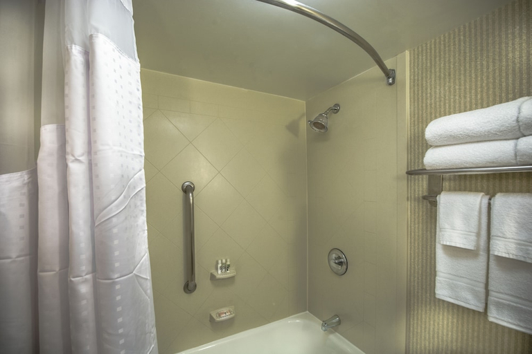 Bathroom 4, Holiday Inn Arlington at Ballston, Arlington