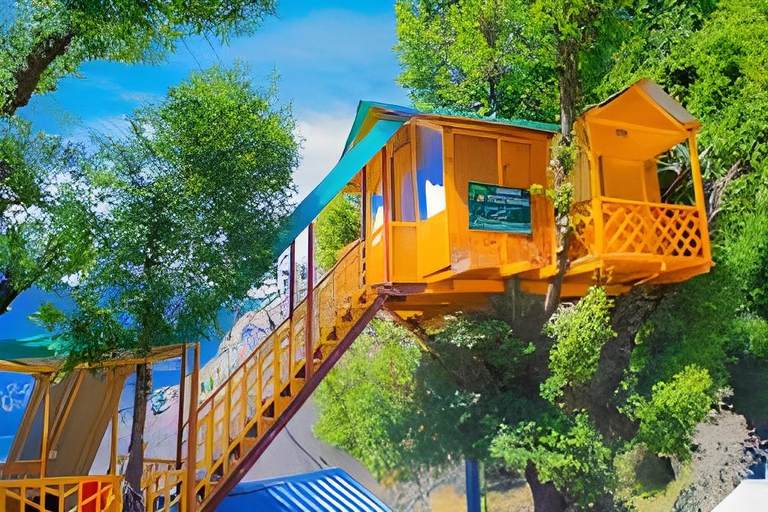 Others 4, Manali Treehouse And Cafe, Kullu