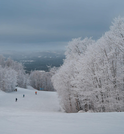 Room 4, Le M Sangeai Citq 300267, Les Laurentides