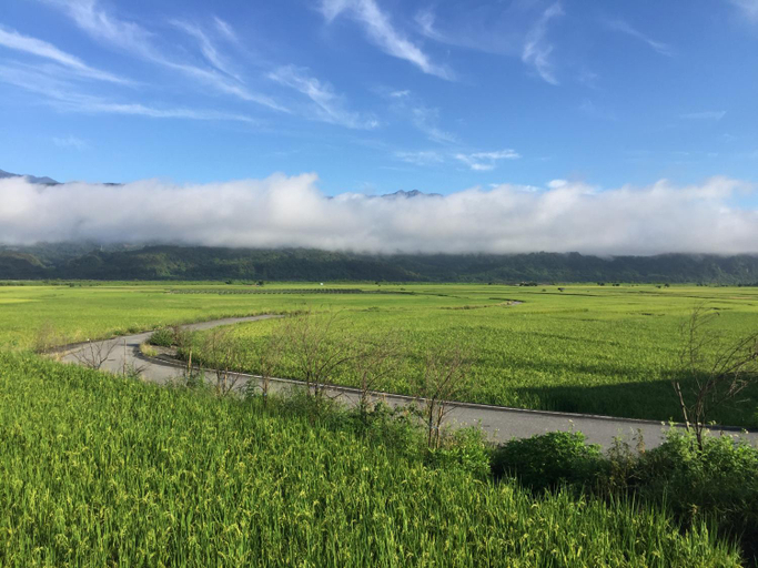 Others 2, Yuli Happiness B&B花蓮縣民宿2068號, Hualien