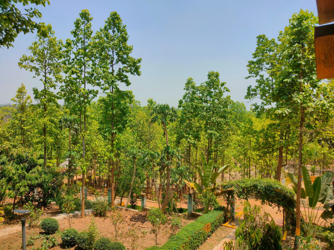 Others 4, Rimil EcoTourism, Bankura