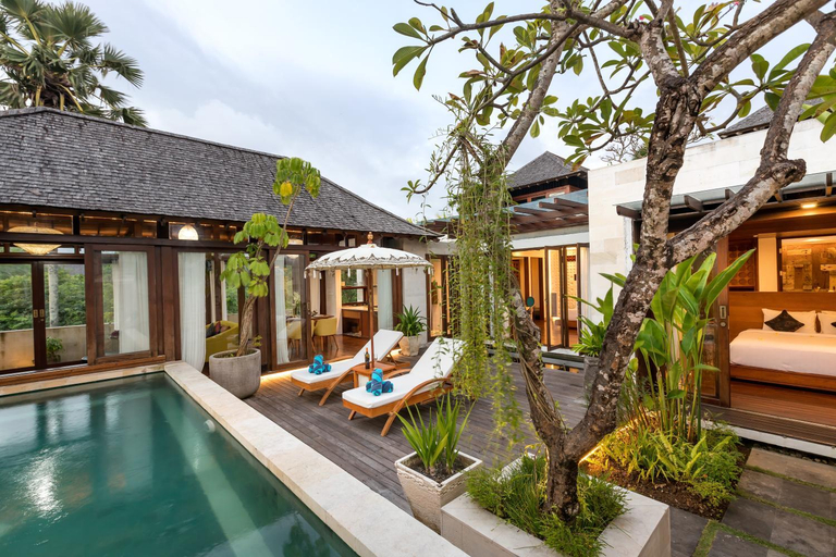 Swimming Pool 4