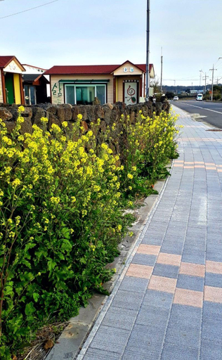 Others 5, Nolmeong Swimeong Goleumeong Pension, Jeju