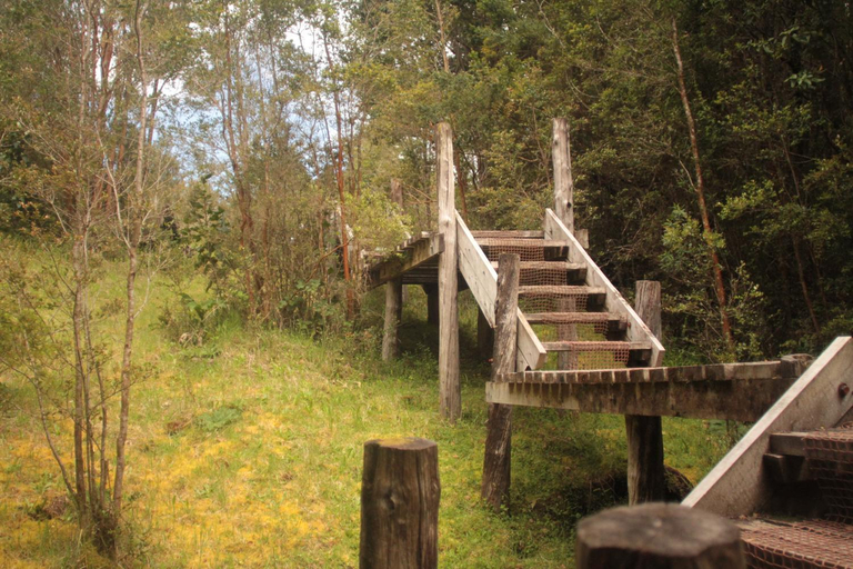 Others 4, La Casita del Bosque, Chiloé