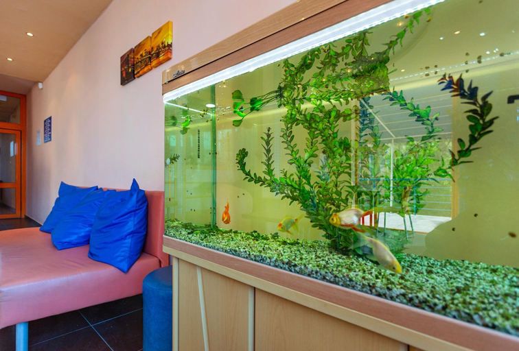Public Area 2, Hotel Jemelly, Nesebar