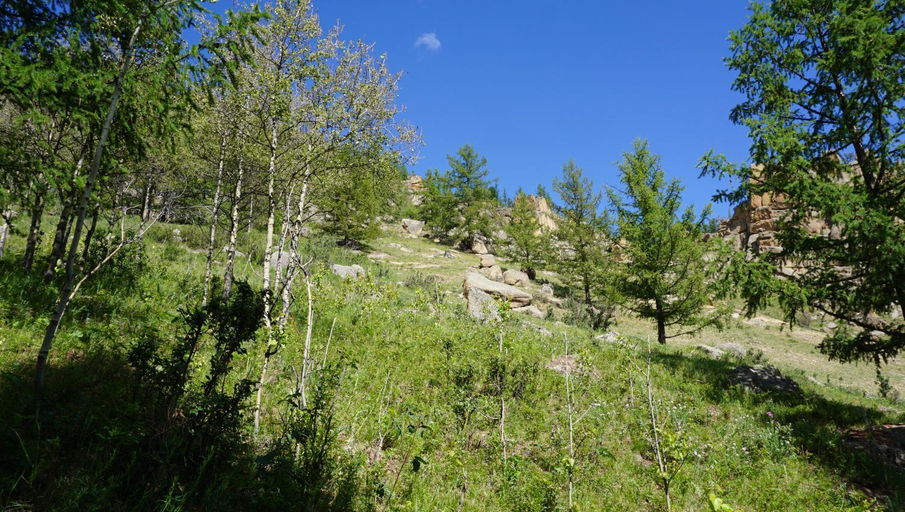 Surrounding environment 2, My Mongolia Eco Ger Camp, Ulan Bator