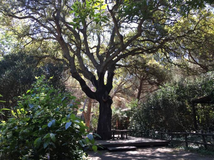 Scenery 12
