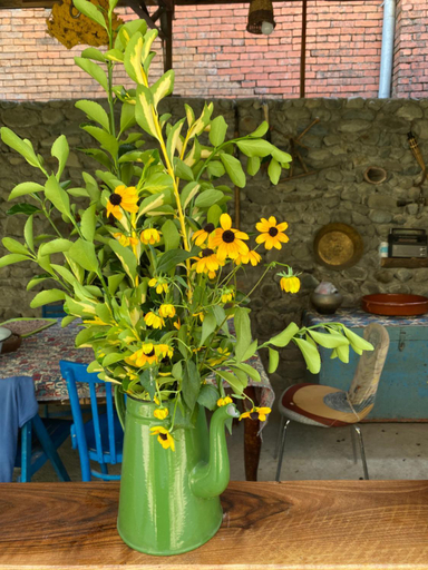Others 2, Ludwig Guesthouse, Lagodekhi