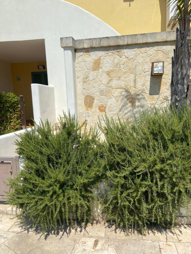 Others 5, V Apartments, Lecce