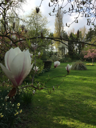 Others 5, Le Domaine des Loups, Pas-de-Calais