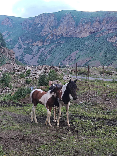 Others 4, mariami, Kazbegi