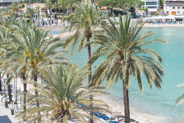 Others 4, Repic Apartments Sóller, Baleares