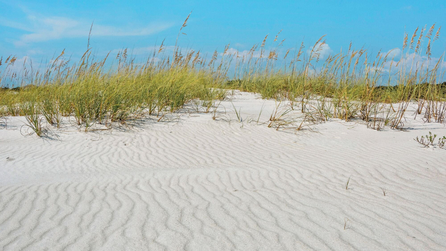 Others 5, Amazing Inlet Beach Location for Beach, Shopping and Dining, Walton