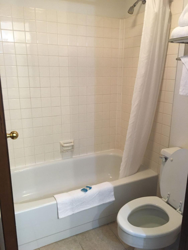 Bathroom 4, Lupine Inn Red Lodge, Carbon