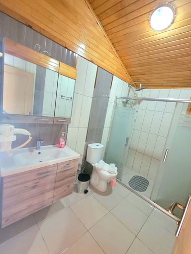 Bathroom 5, Villa Efsane Hotel, Kemer