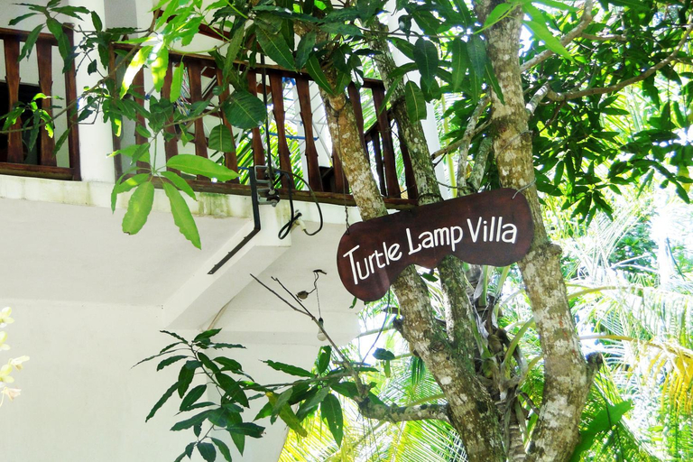Others 5, Guesthouse Turtle Lamp, Habaraduwa