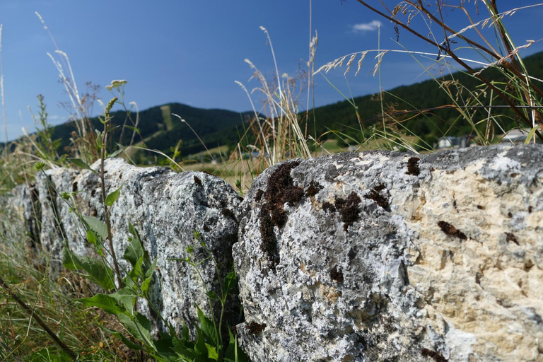 Others 5, Auberge le Sabot de Venus, Isère