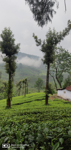 Others 5, Bella Casa, Idukki