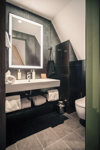 Bathroom 4, Hota Hotel Saint-Imier, Courtelary