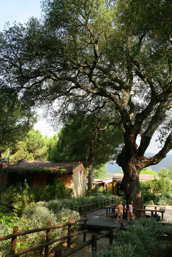 Scenery 14