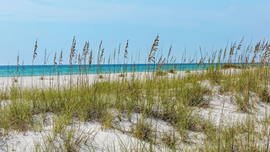 Others 4, Amazing Inlet Beach Location for Beach, Shopping and Dining, Walton