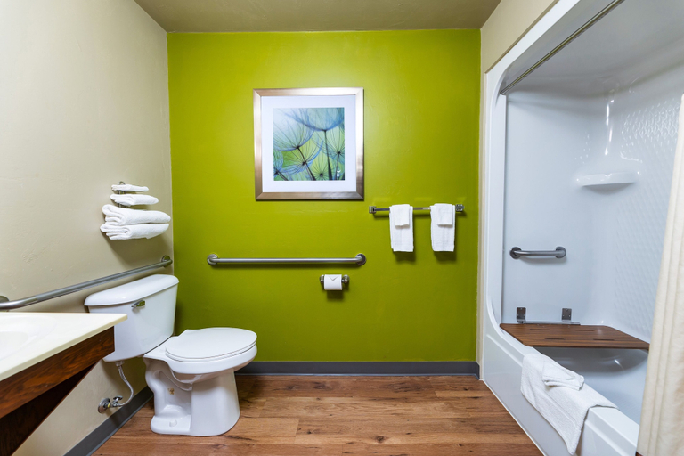 Bathroom 4, Extended Stay Airport, Brown