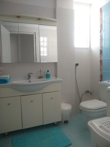 Bathroom 2, Kymi Bay House, Central Greece