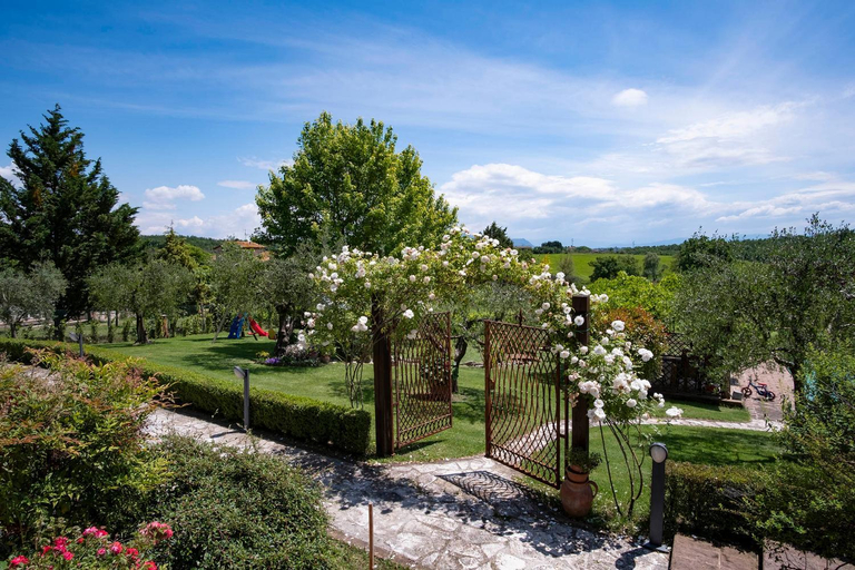 Others 5, B&B Pino Cedro, Terni