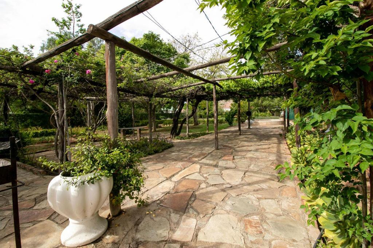 Others 4, The Townhouse, Cacadu