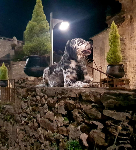 Others 5, 4LLARS, Girona