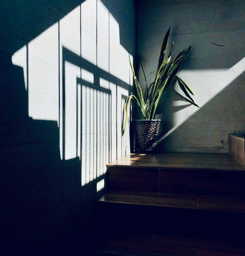 Others 5, 40Inn Backpackers Warehouse, Taitung