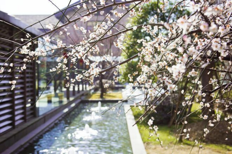 Scenery