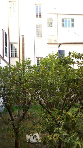 Others 5, Torre Cepollini, Savona