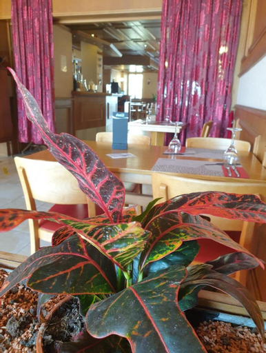 Others, Hotel Lion d'Or Romont, La Glâne