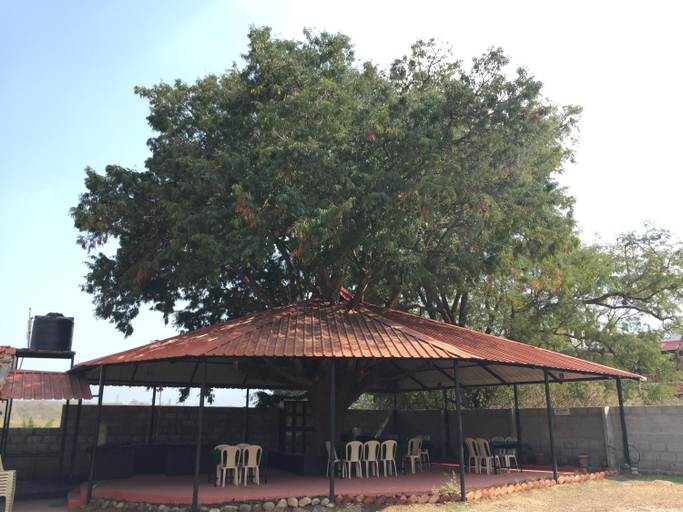 Food & Drinks 2, tamarind tree masinagudi, The Nilgiris