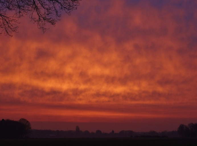 Others 4, Brinkesdiek, Hardenberg
