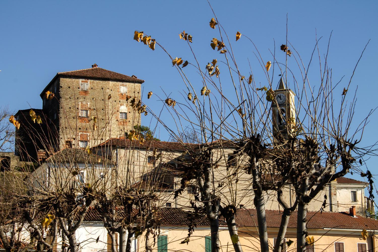 Others 3, Casa Taro, Cuneo