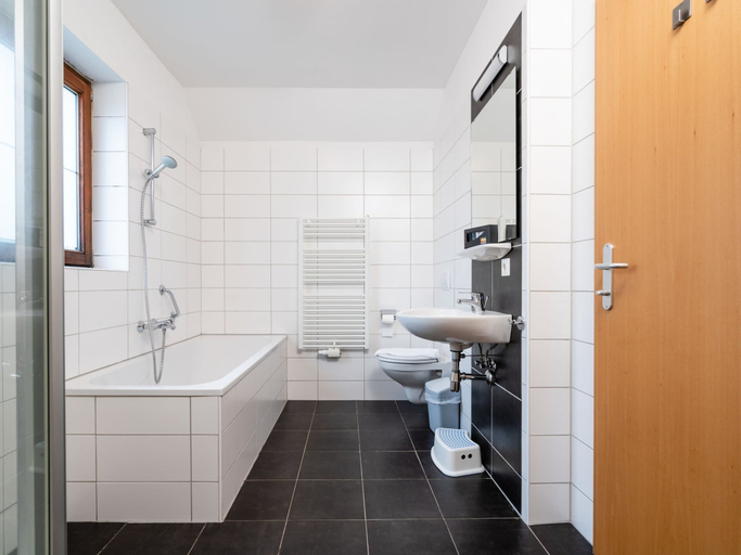 Bathroom 3, Apartment in Obertraun by Hallstattersee, Gmunden