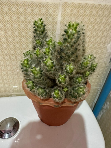 Bathroom 3, Heaven Guesthouse, Pakxe