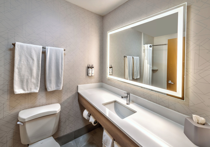 Bathroom 4, Holiday Inn Express WINNEMUCCA, Humboldt