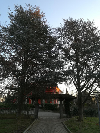 Exterior & Views 2, Villa Laura, Asti