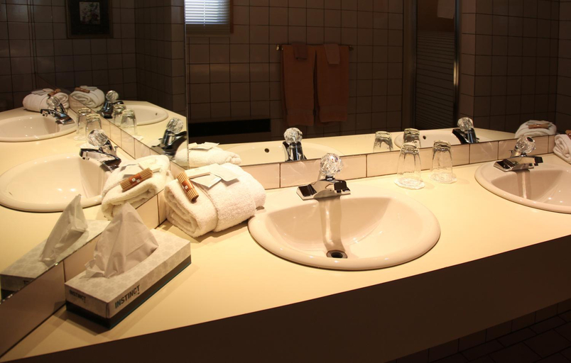Bathroom 2, Auberge Godard, Antoine-Labelle